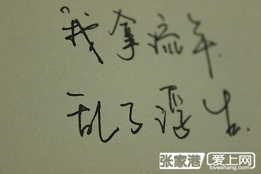 530_95964_98d7f61a22499f0.jpg?40