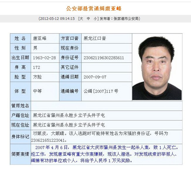 仿真公安部通缉令制作