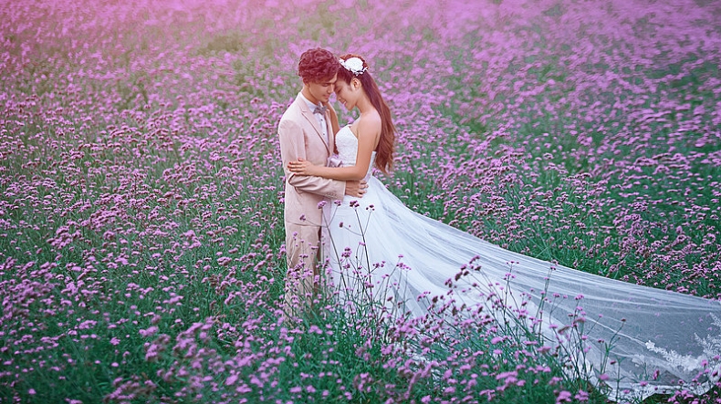 熏衣草外景婚纱_漂亮的薰衣草世界 外景婚纱照片欣赏(2)